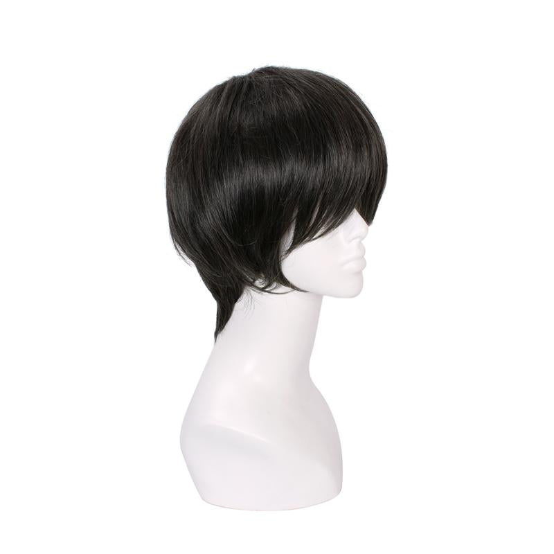 25cm Short Fashion Wig Black Straight Men Hair