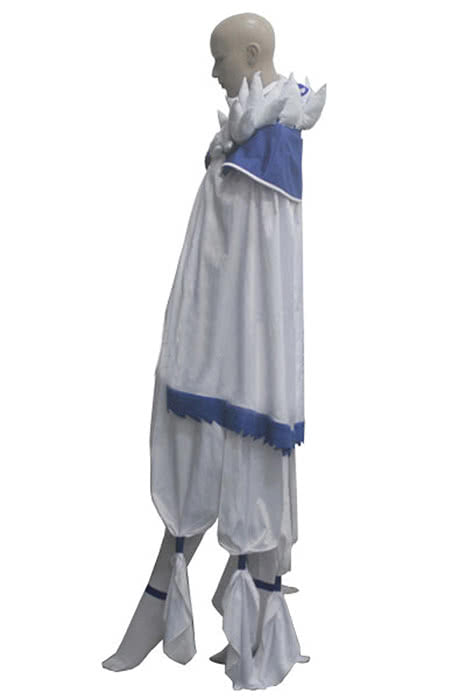 Fairy Tail Saber Tooth Celestial Wizard Yukino Aguria Cosplay Costume