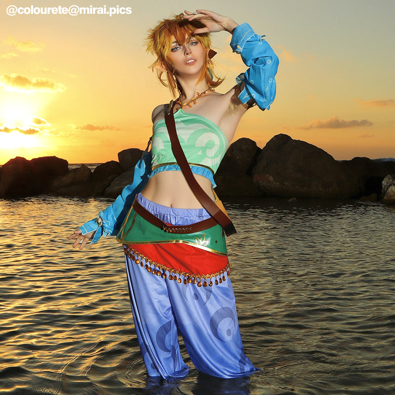 The Legend of Zelda Breath of the Wild Link Cosplay Wigs