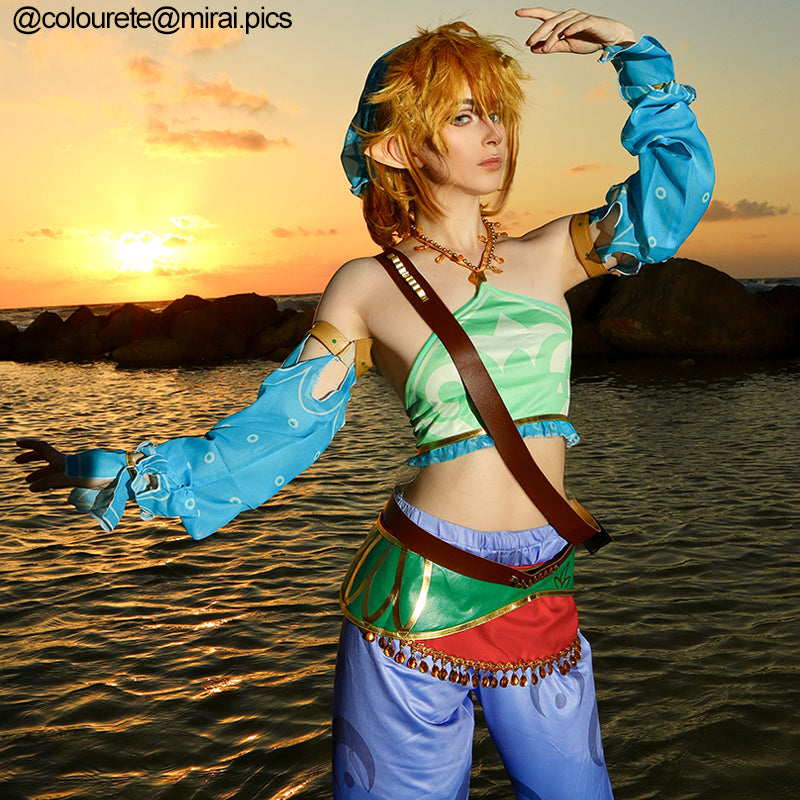 The Legend of Zelda Breath of the Wild Link Cosplay Wigs