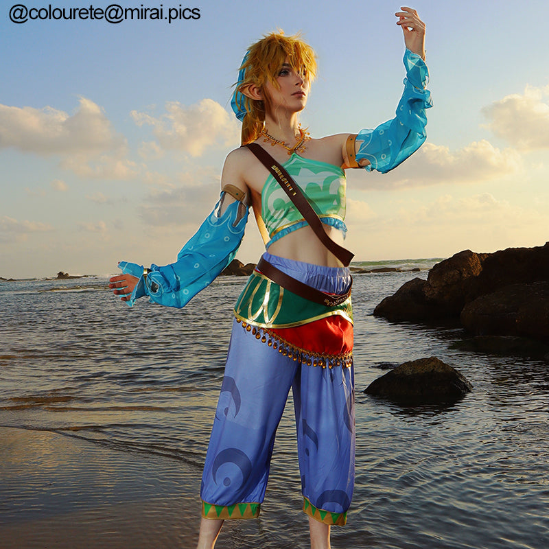 The Legend of Zelda Breath of the Wild Link Cosplay Wigs