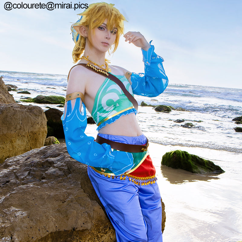 The Legend of Zelda Breath of the Wild Link Cosplay Wigs