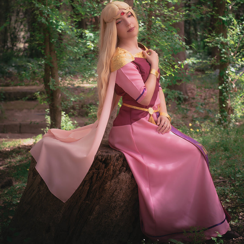 The Legend of Zelda: Echoes of Wisdom Princess Zelda Cosplay Costume