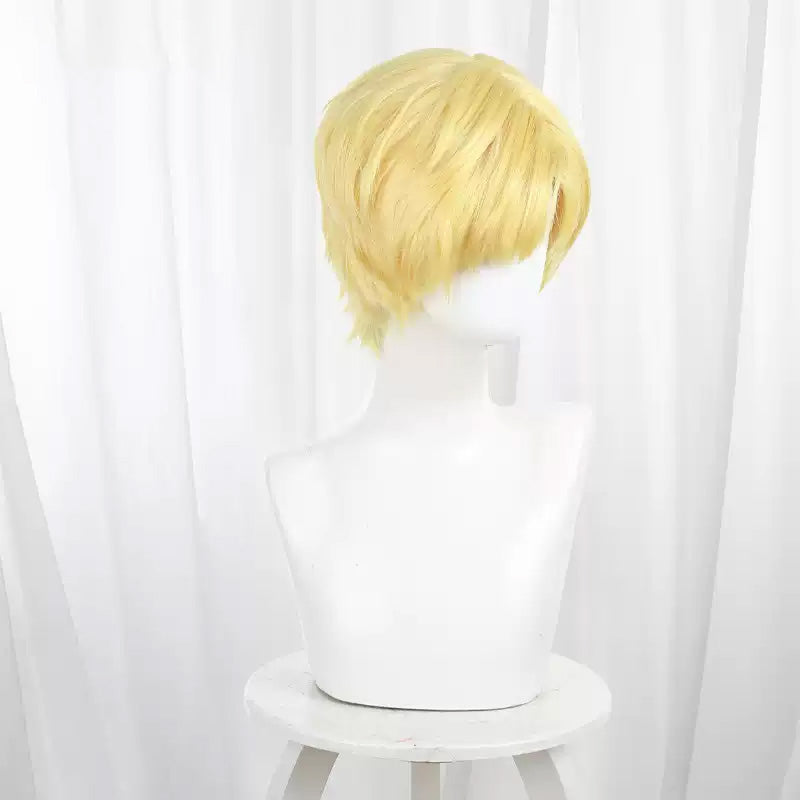 About the movement of the earth Rafał Cosplay Wig