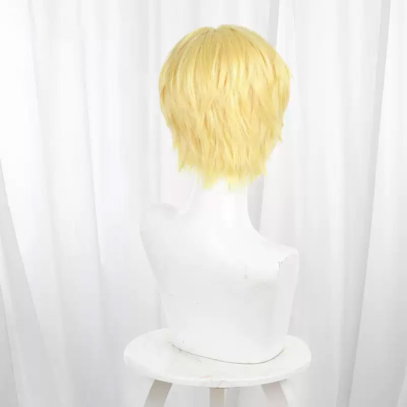 About the movement of the earth Rafał Cosplay Wig