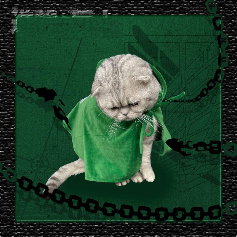 Attack on Titan Scout Regiment Cat Cosplay Costume