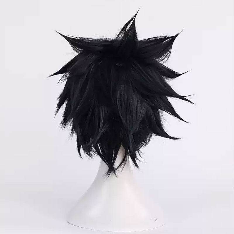 Fairy Tail 100 Years Quest Gray Fullbuster Cosplay Wig