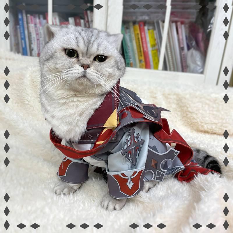 Genshin Impact Tartaglia Cat Cosplay Costume