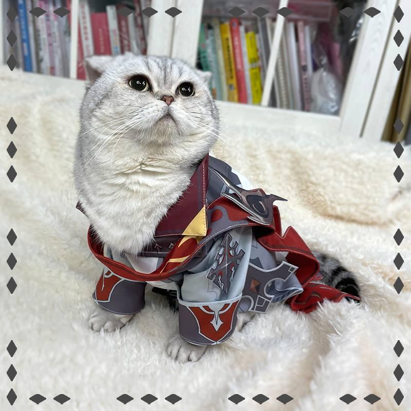 Genshin Impact Tartaglia Cat Cosplay Costume