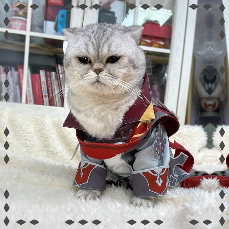 Genshin Impact Tartaglia Cat Cosplay Costume