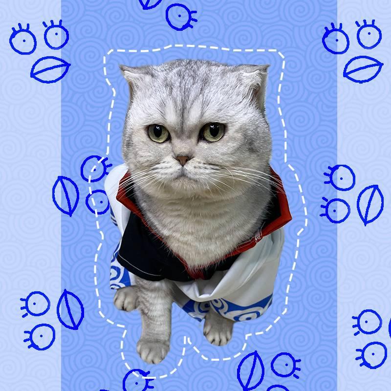 Gintama Sakata Cat Cosplay Costume