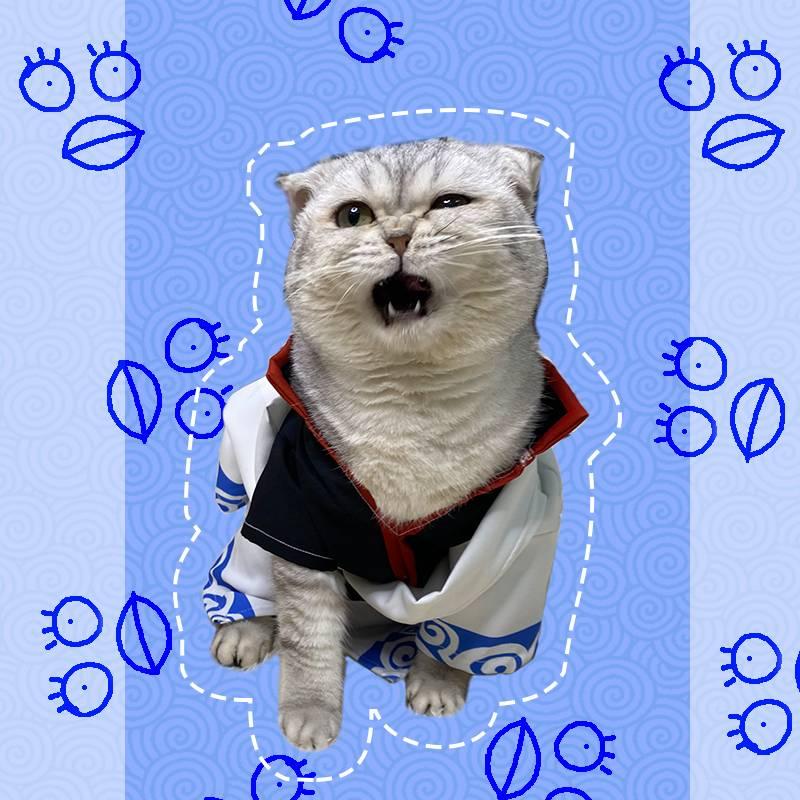 Gintama Sakata Cat Cosplay Costume