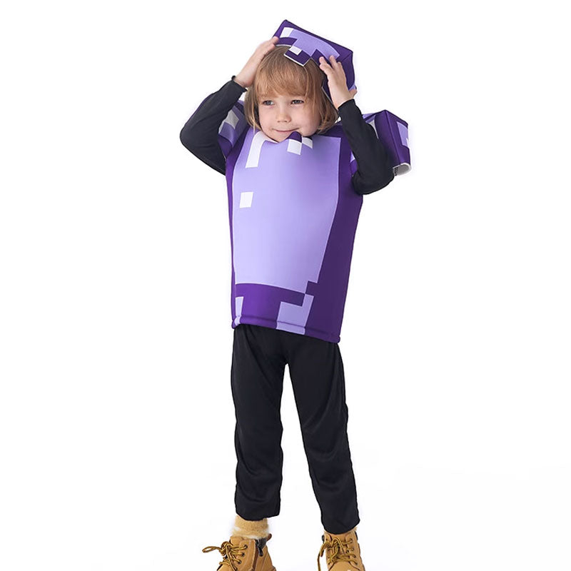 Minecraft Amethyst Equipment Cosplay Costume