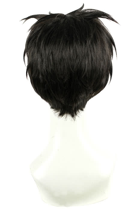 25cm Short Gekkan Shoujo Nozaki-kun Nozaki Umetarou Black Wig