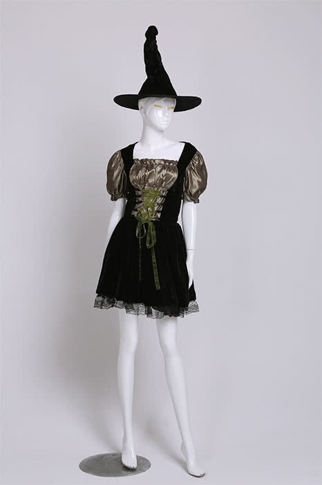 Sexy Lace Witch Dress Halloween Costumes