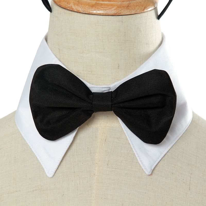 Seishun Buta Yarou wa Bunny Girl Senpai no Yume wo Minai Sakurajima Mai Hasenmädchen Cosplay Kostüm