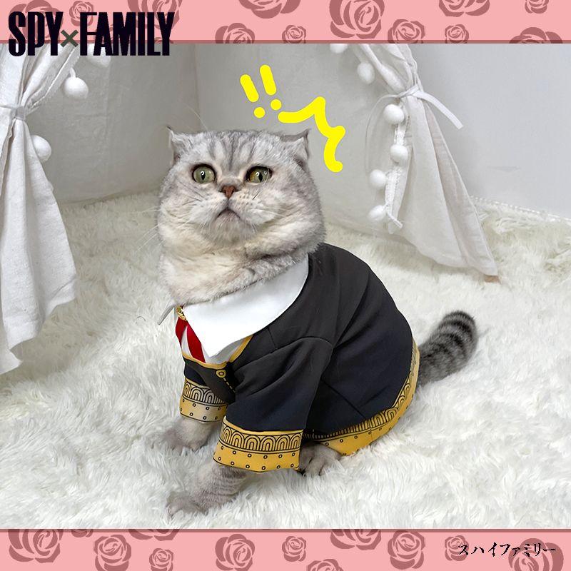 SPY×FAMILY Forger Anya Cat Cosplay Costume