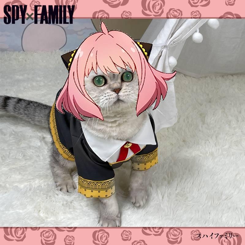 SPY×FAMILY Forger Anya Cat Cosplay Costume