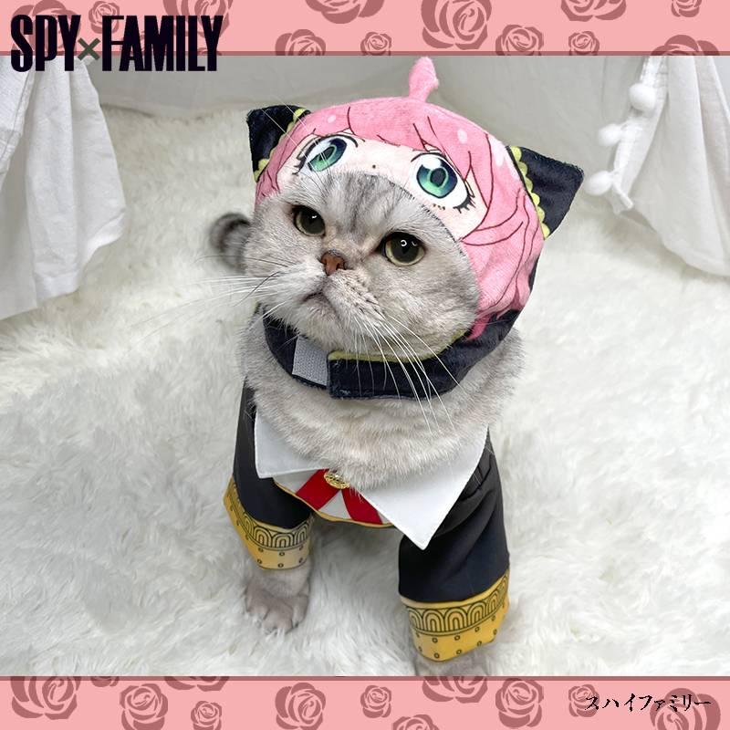 SPY×FAMILY Forger Anya Cat Cosplay Costume
