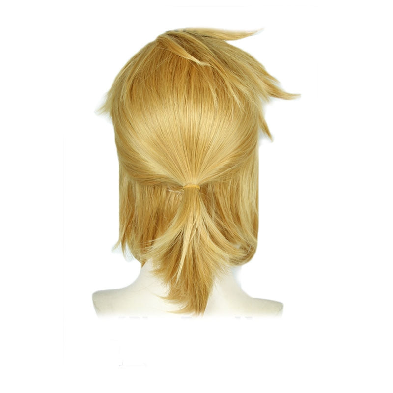 The Legend of Zelda Breath of the Wild Link Blond Cosplay Wigs