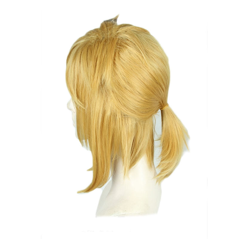 The Legend of Zelda Breath of the Wild Link Blond Cosplay Wigs