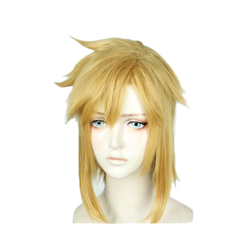 The Legend of Zelda Breath of the Wild Link Blond Cosplay Wigs