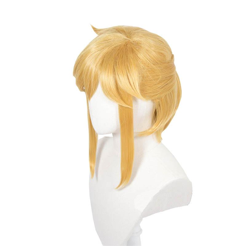 The Legend of Zelda Breath of the Wild Link Cosplay Wigs