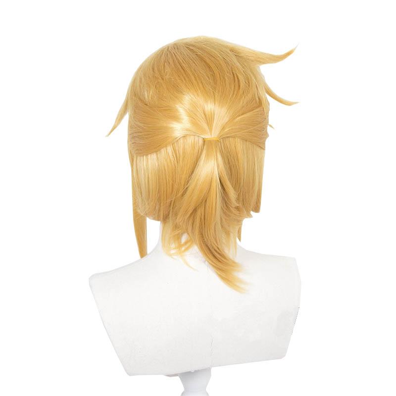 The Legend of Zelda Breath of the Wild Link Cosplay Wigs