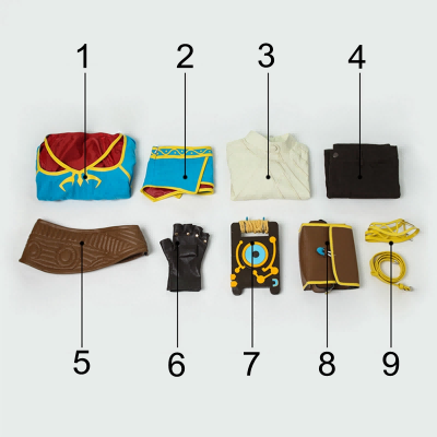 The Legend of Zelda Breath of the Wild Zelda Cosplay Costume