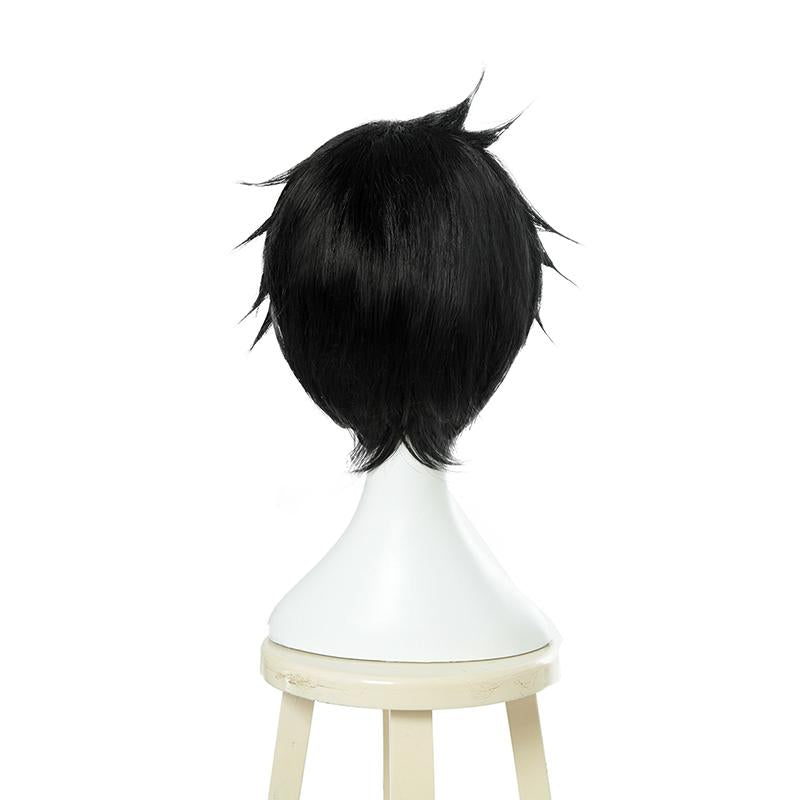 The Rising of the Shield Hero Naofumi Iwatani 28cm Short Black Aoharu x Kikanjuu Tooru Yukimura Cosplay Wig