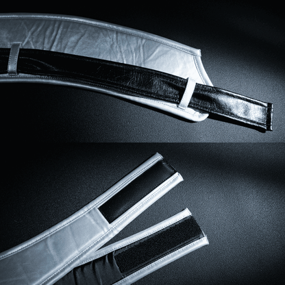 Rolecosplay SAO Shino Asada Cait Sith Cosplay Costume