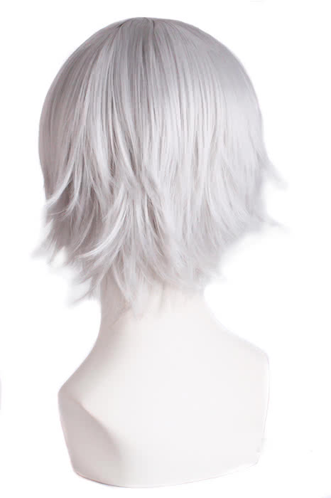 30cm Sliver Grey Inu x Boku SS Miketsukami Soushi Cosplay Wig
