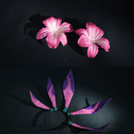 Rolecosplay LOL League Of Legends Neeko Cosplay Costume