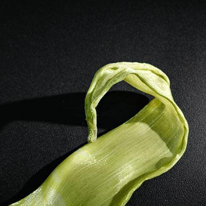 Rolecosplay LOL Panda Pal Lux Cosplay Costume