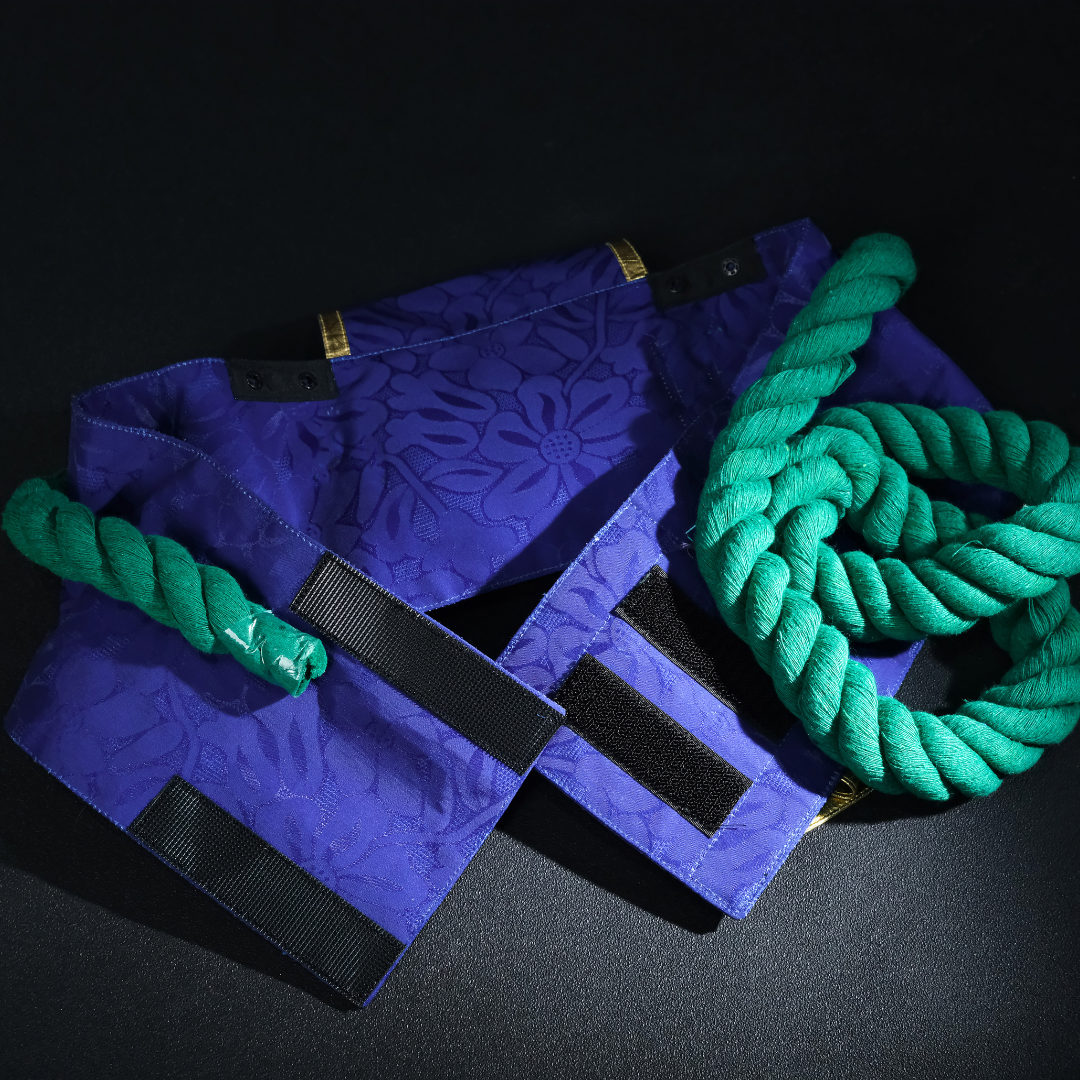 Rolecosplay Spirit Blossom Lux Cosplay Costume LOL Outfit 