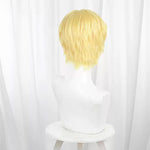 About the movement of the earth Rafał Cosplay Wig