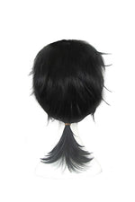 Anime Cosplay wigs Man Wigs