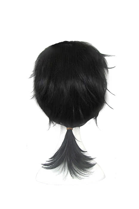 Anime Cosplay wigs Man Wigs