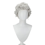 Baldur's Gate 3 Astarion Cosplay Wig