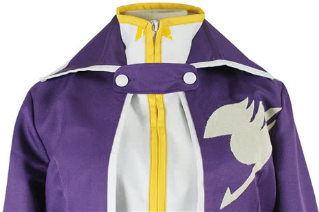 Fairy Tail Team Gray Fullbuster Cosplay Costume