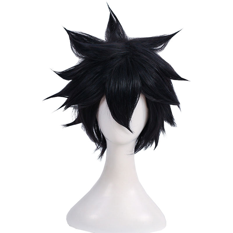 Fairy Tail 100 Years Quest Gray Fullbuster Cosplay Wig