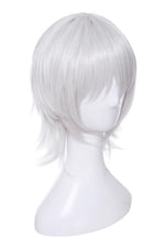 Fate/Apocrypha Assassin of Black Jack the Ripper Silver Cosplay Wigs
