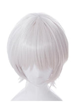 Fate/Apocrypha Assassin of Black Jack the Ripper Silver Cosplay Wigs 