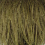 Free! Iwatobi Swim Club Tachibana Makoto Green Short Cosplay Wig