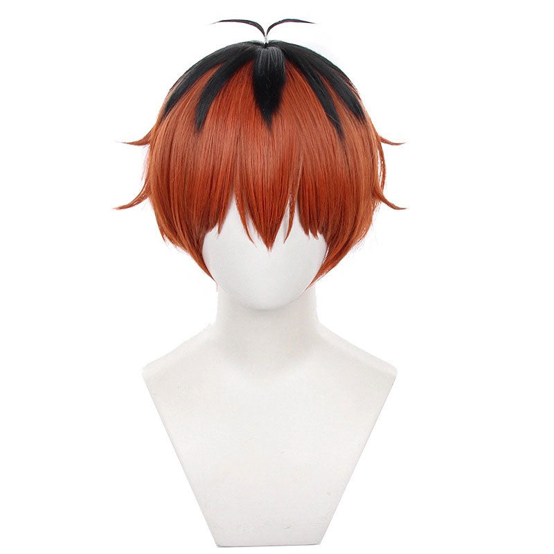 Frieren Beyond Journey's End Stark Cosplay Wigs