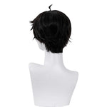 Honkai: Star Rail Danheng Short Black Cosplay Wigs