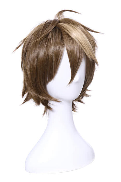 Anime Wigs Cosplay 