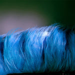 LOL Battle Bat Xayah Cosplay Costume Halloween Costume