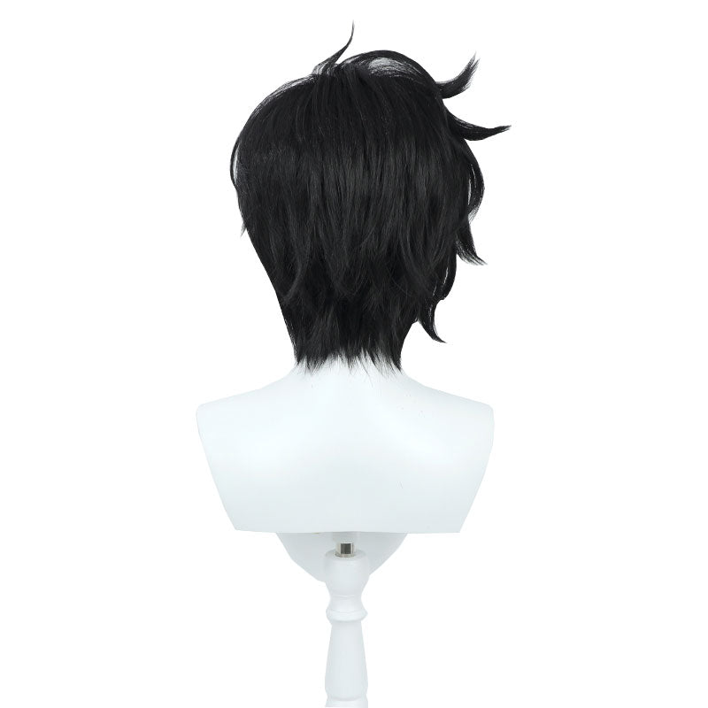 Solo Leveling Sung Jinwoo Cosplay Wig