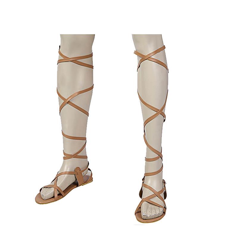 The Legend of Zelda2 Breath of the Wild Link Desert Cosplay Shoes